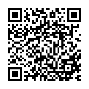 陆为民脸上迷惘和怔忡的表情显示他在这上边是真的没自信了二维码生成