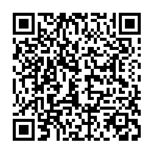 陆书记您在视察翼王街时说了一句旅游业对解决低端劳动力就业有很大的帮助二维码生成