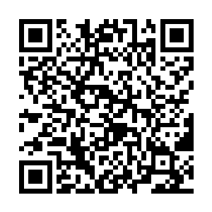 陆卿和乔荞在蒋方舟走了一个小时之后才从酒店离开二维码生成