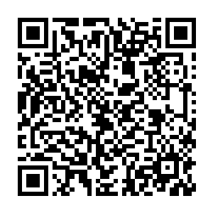 陆天风是打算以自己全部的力量来抵挡秦方的这一剑……不管结果如何二维码生成