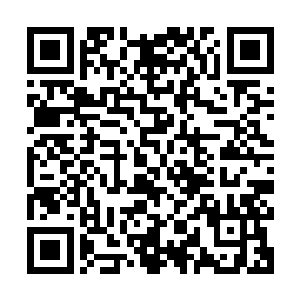陆志华就能从她这几番跳槽的经历中捕捉到最精华最实质的核心二维码生成