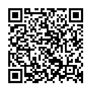 陆非凡旁若无人的抬起了修长的手指轻轻地捏住了她小巧的下巴二维码生成