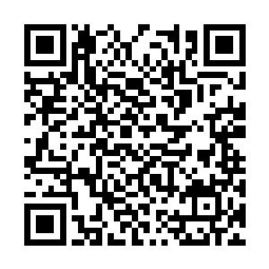 陈书记和秦书记不可能会在这件事上继续追问下去二维码生成