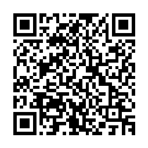 陈凌一心二用同时控制两只战天兽的灵气和他们的灵气进行交换二维码生成