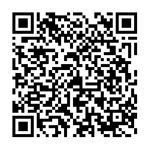 陈凌可以清晰地从他眼神中看到他的意识正在试图摆脱初代魔神的控制二维码生成