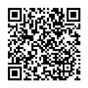 陈凌和他们完全不在一个等级的强大能力让他们对此毫无察觉二维码生成