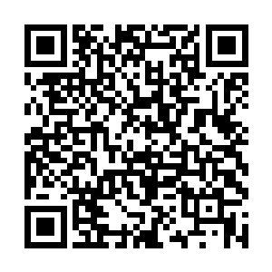 陈凌大部分的时间实际上是用在了挖取精灵宝钻上面二维码生成