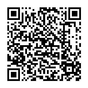 陈凌悄无声息地在主事大人的房门上设下了一条细若游丝的灵气线条二维码生成