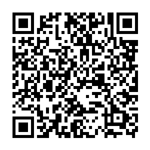 陈凌试着用自己掌握的天地灵气和意念一同逼出精灵宝钻内的灵气二维码生成