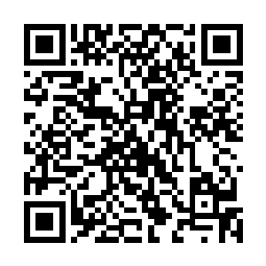 陈凌这种速战速决的做法在某种程度上反而算是一种仁慈二维码生成
