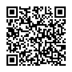 陈家可是给其他几大家族都付出了不小的代价……否则的话二维码生成