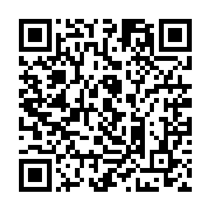 陈小练双手用力抓住黑寡妇镰刀爪上凸起的倒刺部位二维码生成