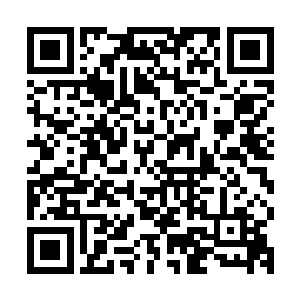 陈小练可不敢把赌注押在对方是为了和平和友谊而来这种几率上二维码生成