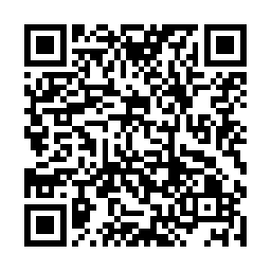 陈小练就已经在脑海中反复演练了无数遍模拟的战斗二维码生成