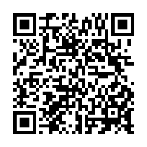 陈小练已经决定暂时不去想它们了――既然现在没有答案二维码生成