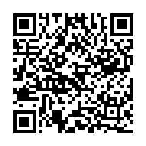 陈建林忍不住惊恐的叫了一声……他似乎已经感觉到了什么二维码生成