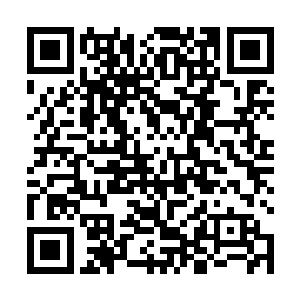 陈昌俊一时间也无法判断陆为民的意见是否准确和正确二维码生成