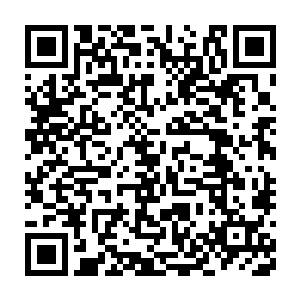 陈观对两个门卫和李老二的吵闹一级周围的人的指指点点浑然不觉二维码生成