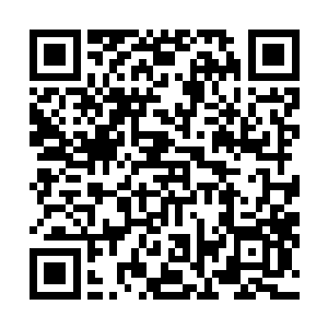 陈观连顾着问昨天开业和今天的门票收入如何都没顾上问二维码生成