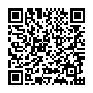 陈诚的卡牌瞬间便越过了小半个地图出现在了酒桶的面前二维码生成