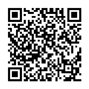 除了他这样通过定海神珠这样的先天灵宝传承的修真者之外二维码生成