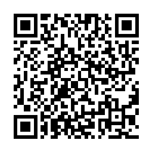 除了因为忙着任务或者……真的没将那次任务合作当回事外二维码生成