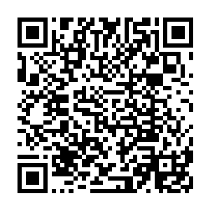 除了晚上六点钟要出席省政府那边一个欢迎香港中华总商会代表团的宴会外二维码生成