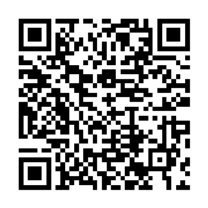 除了美法等几支医疗代表团提议立即对秦洛进行处罚之外二维码生成