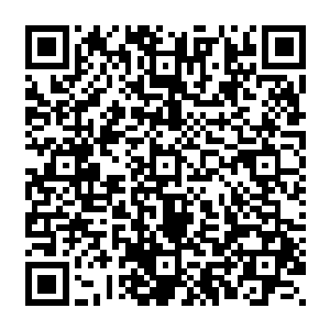 除了要让纪委监察系统和审计部门在每一个程序都要进行监督审查并落实到人签字认可外二维码生成