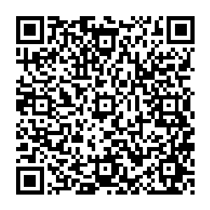 除了要让纪委监察系统和审计部门在每一个程序都要进行监督审查并落实到入签字认可外二维码生成