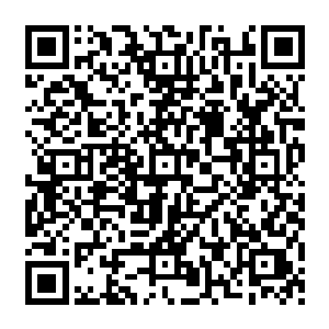 除了言宸和齐言轻以及被言宸废了武功送回家族安养的玉兆天和玉家解散了的长老堂外二维码生成