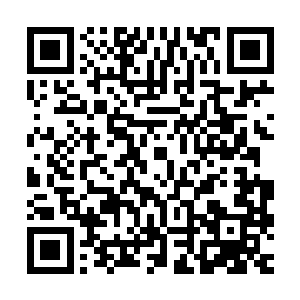 除了让我身体从原本单纯的星力攻击变成了宇宙法则的攻击以外二维码生成