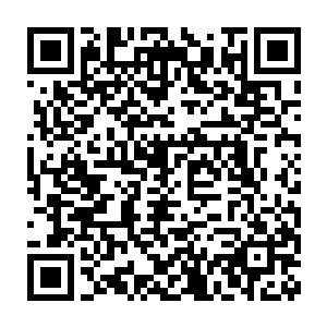 除了迪斯丁的训练营里教官的水准确实是这世界上最顶尖的一群人之外二维码生成
