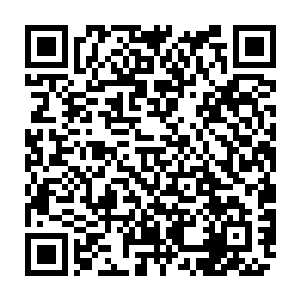 除却魅碧莲和流墨墨稍有兴致的当做淘宝一样刨那堆装备里的灵衣法衣出来二维码生成