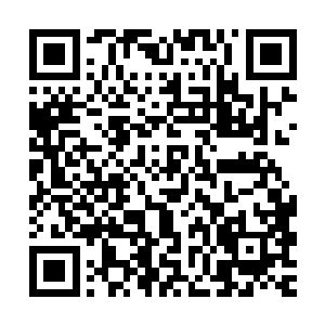 除去成本和给皇宫以及二环里的爵爷们免费提供实验所需的资金二维码生成