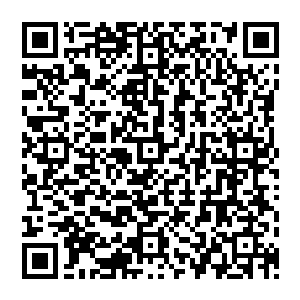 除非他们开给我两倍的薪水……嗯……或者一点五倍……嗯……提升百分之二十也可以考虑……二维码生成
