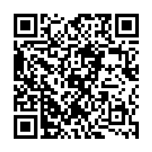 除非你是江南省的省委书记……总之经过这几天的宣传二维码生成