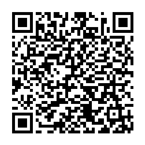 除非我们也能有能够在win10操作系统上运行的类似于全民来编程的超级应用二维码生成