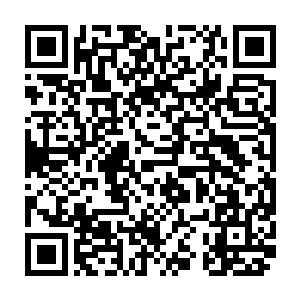 除非是苏凡现在又穿着那晚的衣服出现在鹰鼻男的面前才有可能被一眼认出二维码生成