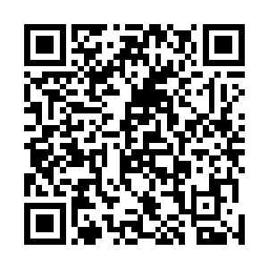 陨石带的改造工程我已经交给青木星林雨麾下的工程队了二维码生成