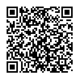 陶家的人若是不经历这样的血与火的磨砺是根本没有办法有脱变的二维码生成