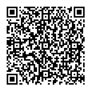 陶贼……你敢这般辱本太子……本太子不会放过你……陶贼……你给我住手……陶贼……贼……二维码生成