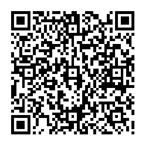 陷入了自己的世界里的她开始在认真的用着自己的方式计算着陆非凡的腿到底有多长二维码生成