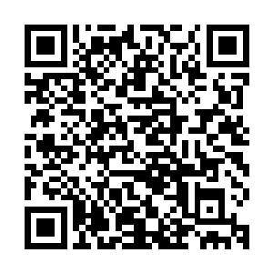 隋立媛也指派了一名财务经理出任平安堂药业的分管财务的副总二维码生成