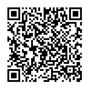 隋立安隋立平两兄弟率领的多达十余人的药商代表已经在洼崮逗留了两天了二维码生成