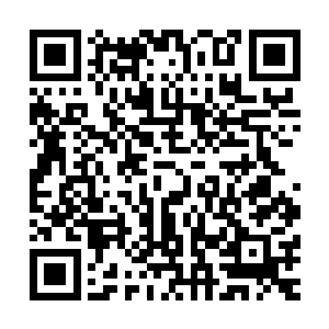 随便哪个公司安排盈盈一个销售主管甚至总经理都不成问题吧二维码生成