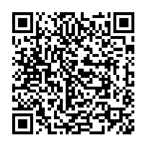 随便拿出来一个就可以敌得过一个被断灵石压制后的不堕境界的敌人了二维码生成
