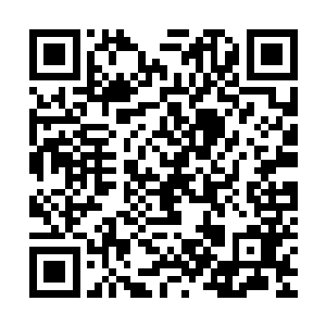 随便撞击一下都可能直接将他们的船掀翻的……听到船长的命令二维码生成