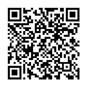 随即一座无比恐怖的气势恢宏的宫殿从海岛的下面升了起来二维码生成