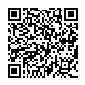 随即他们只感觉一股无比恐怖的狂暴的气息瞬间从下方传来二维码生成